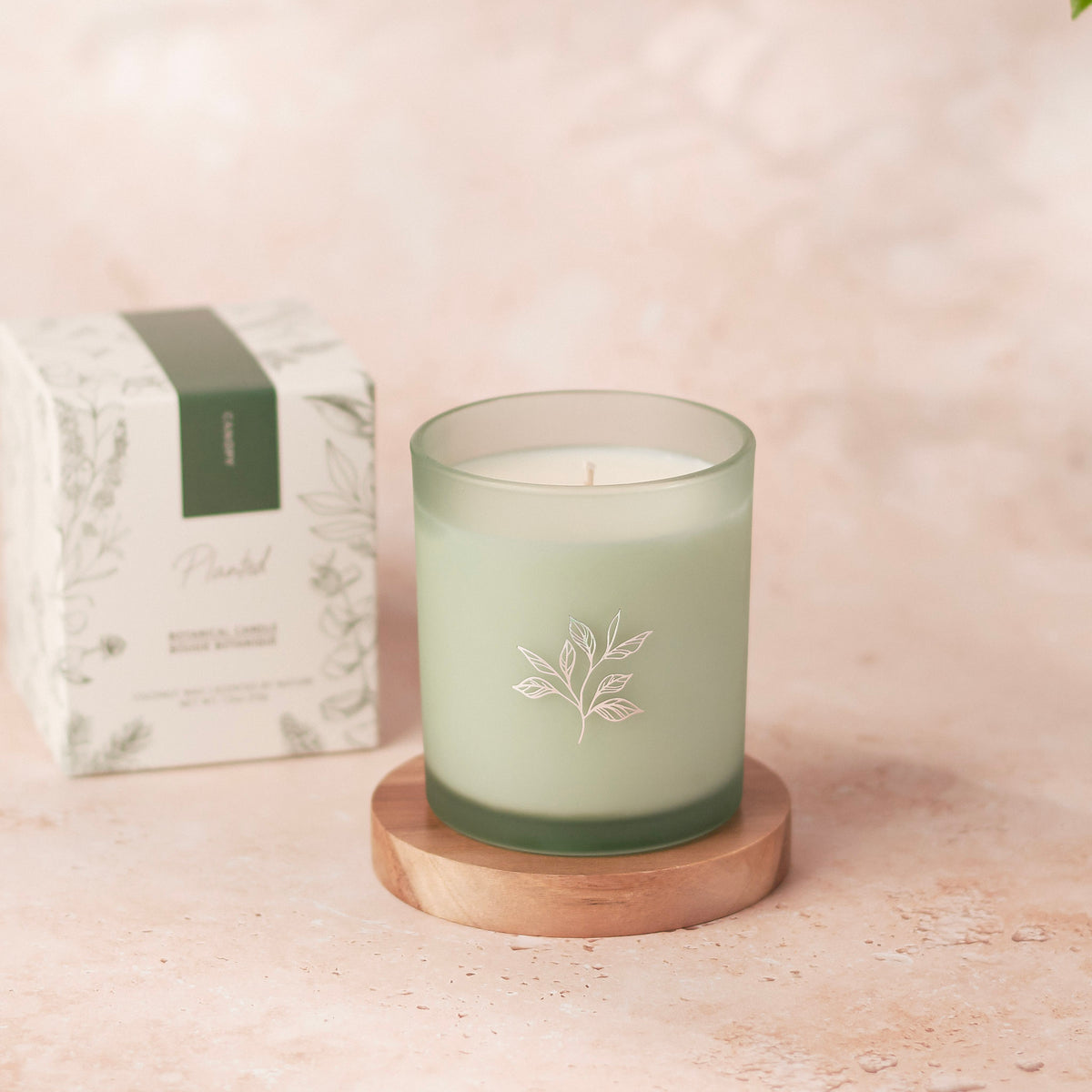 Canopy Candle