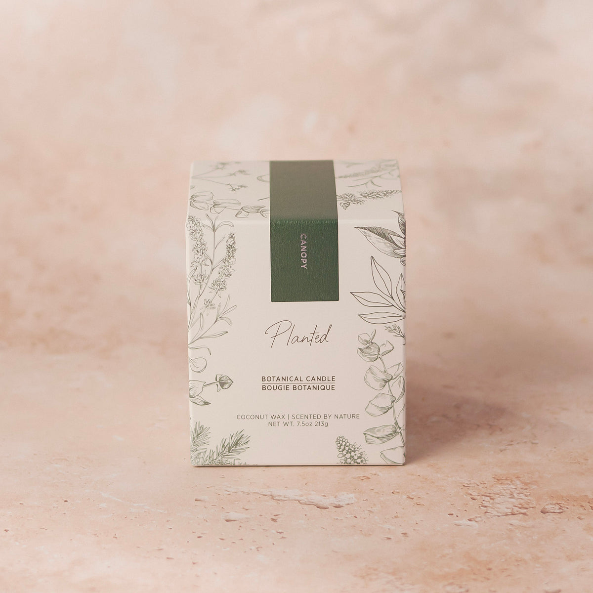 Canopy Candle