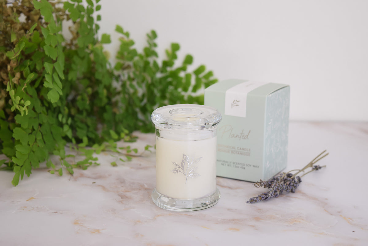 Free Petite Lavender Candle