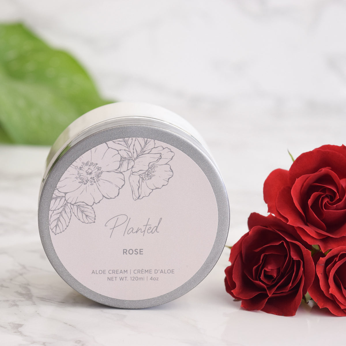 Rose Aloe Cream