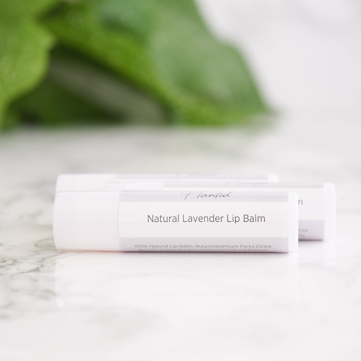 Natural Lavender Lip Balm