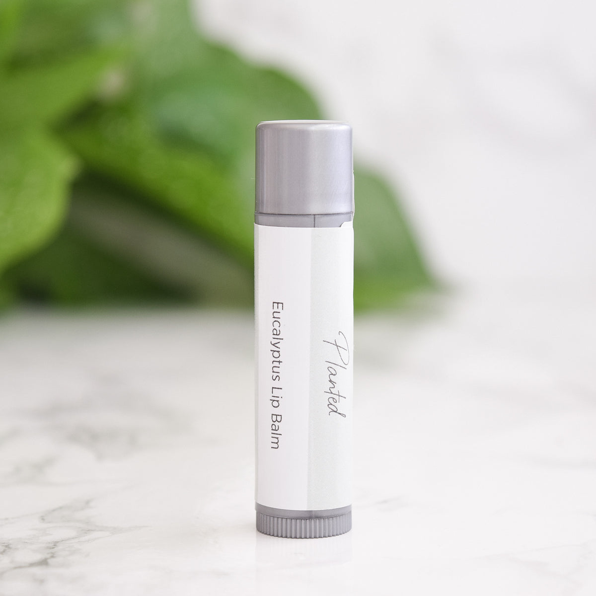 Overnight Lip Balm - Eucalyptus