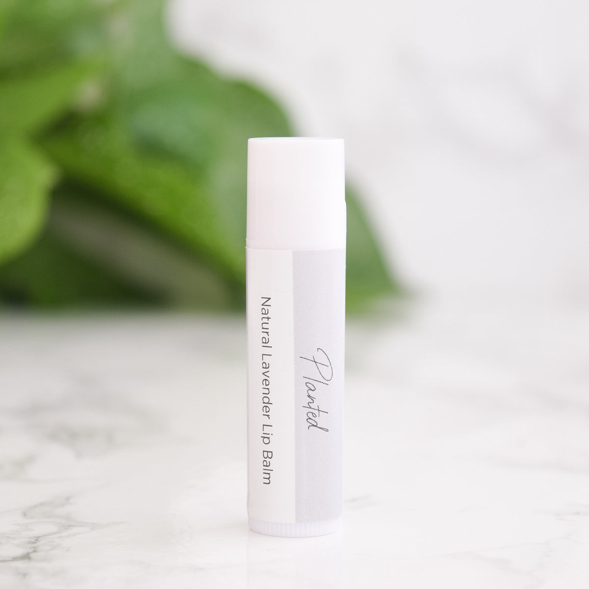 Natural Lavender Lip Balm