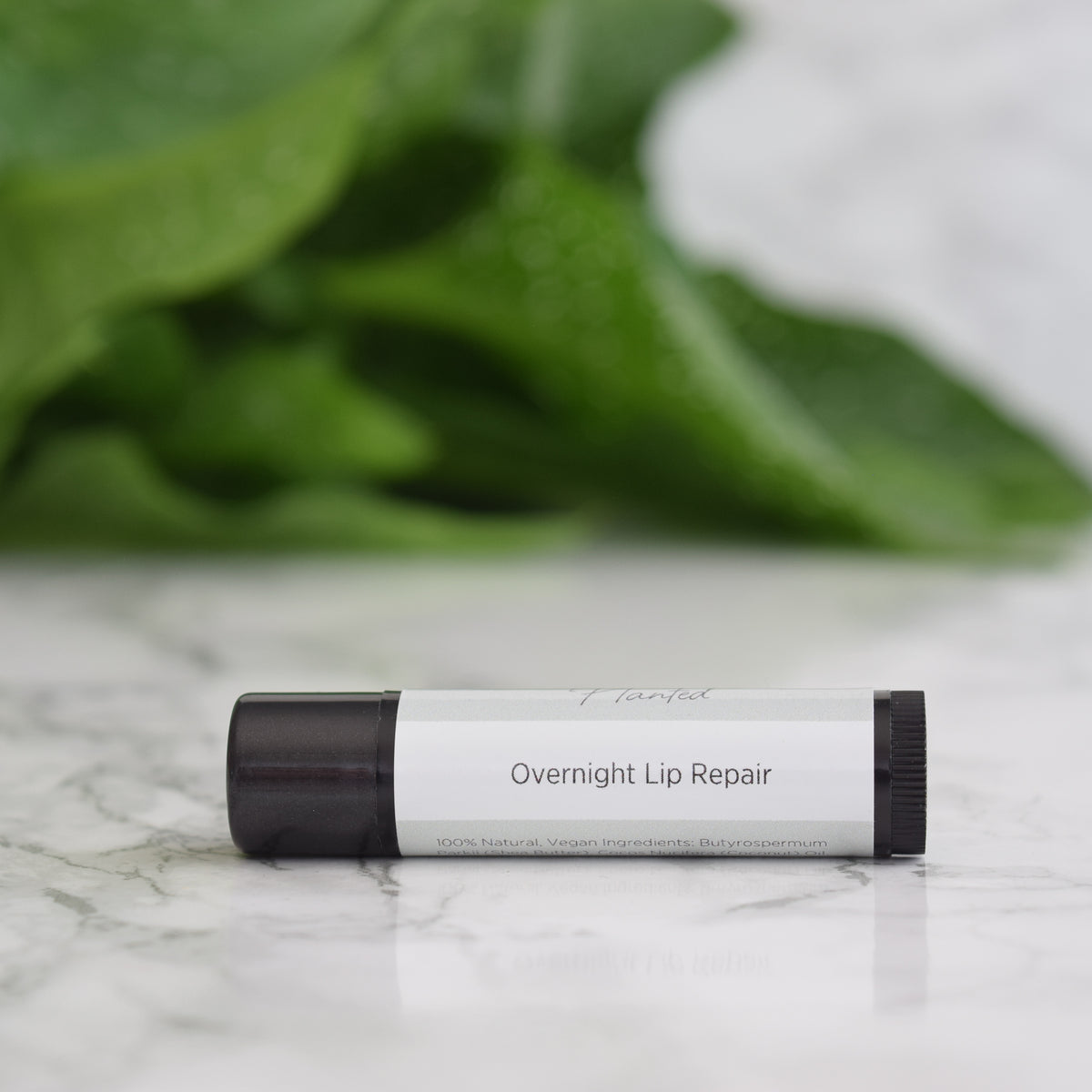 Overnight Lip Repair