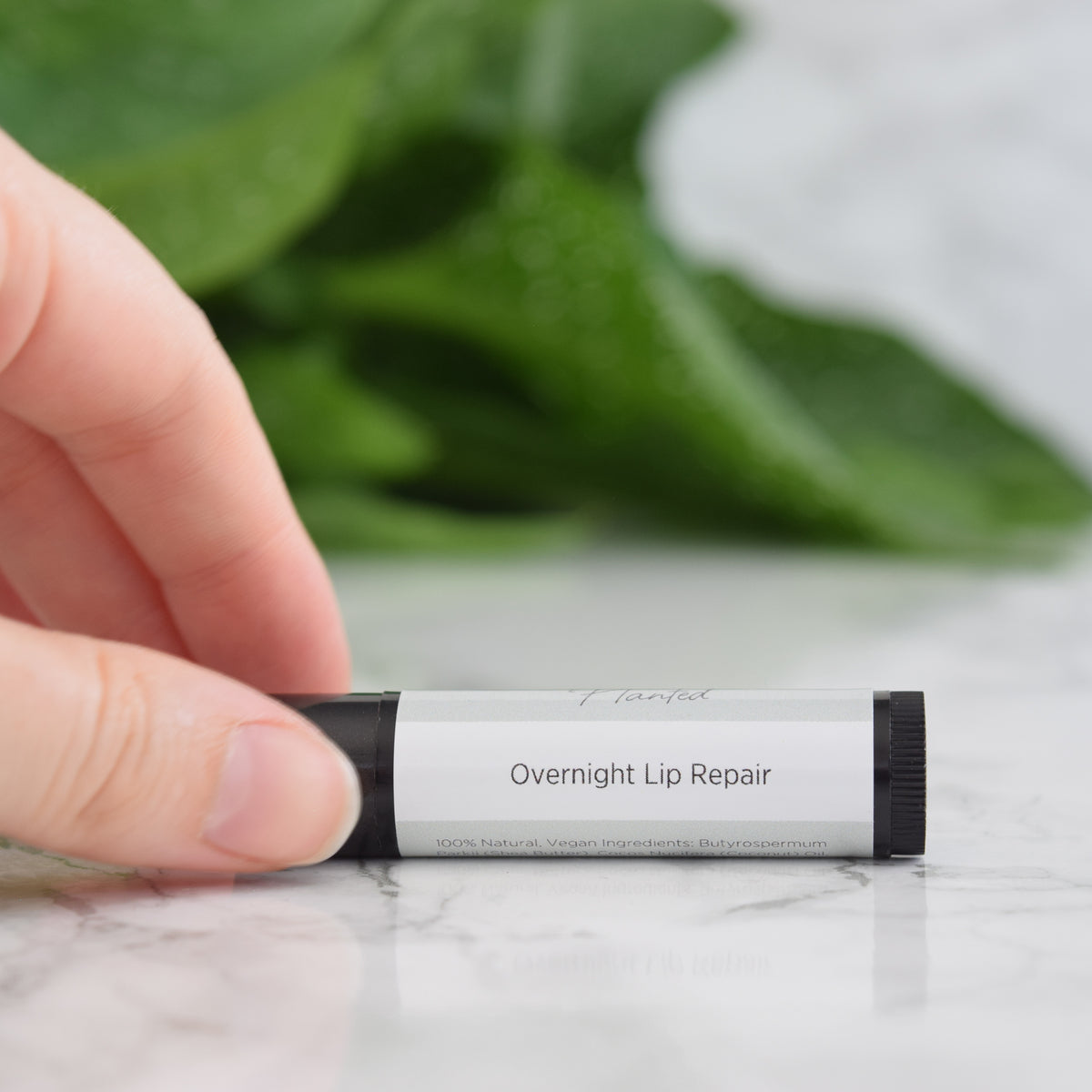 Overnight Lip Repair