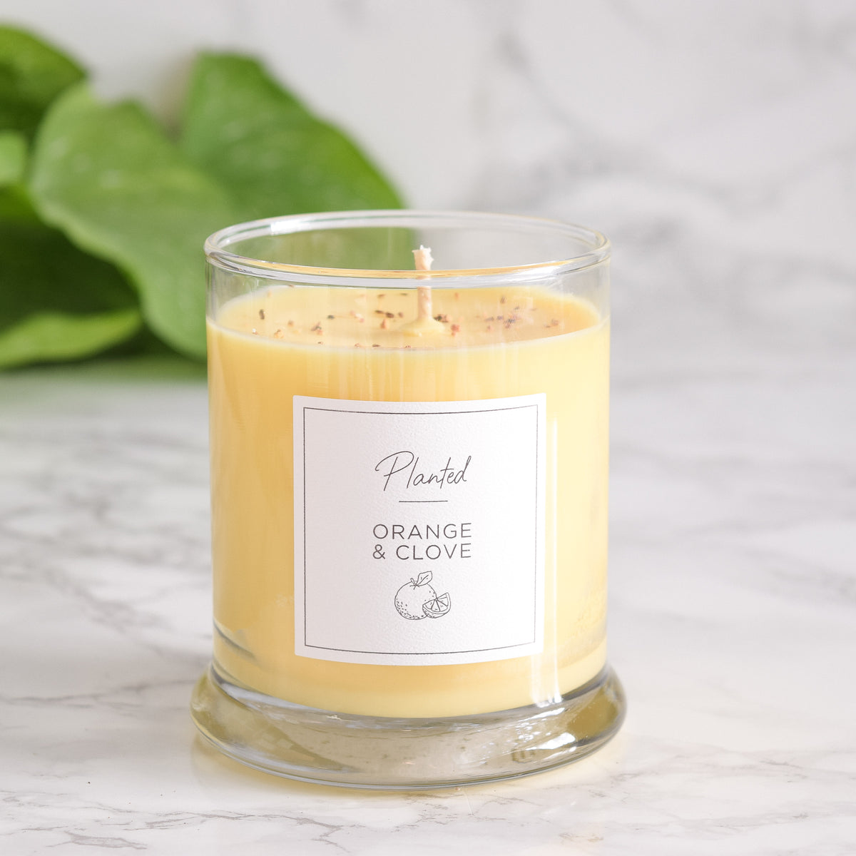 Orange & Clove Candle
