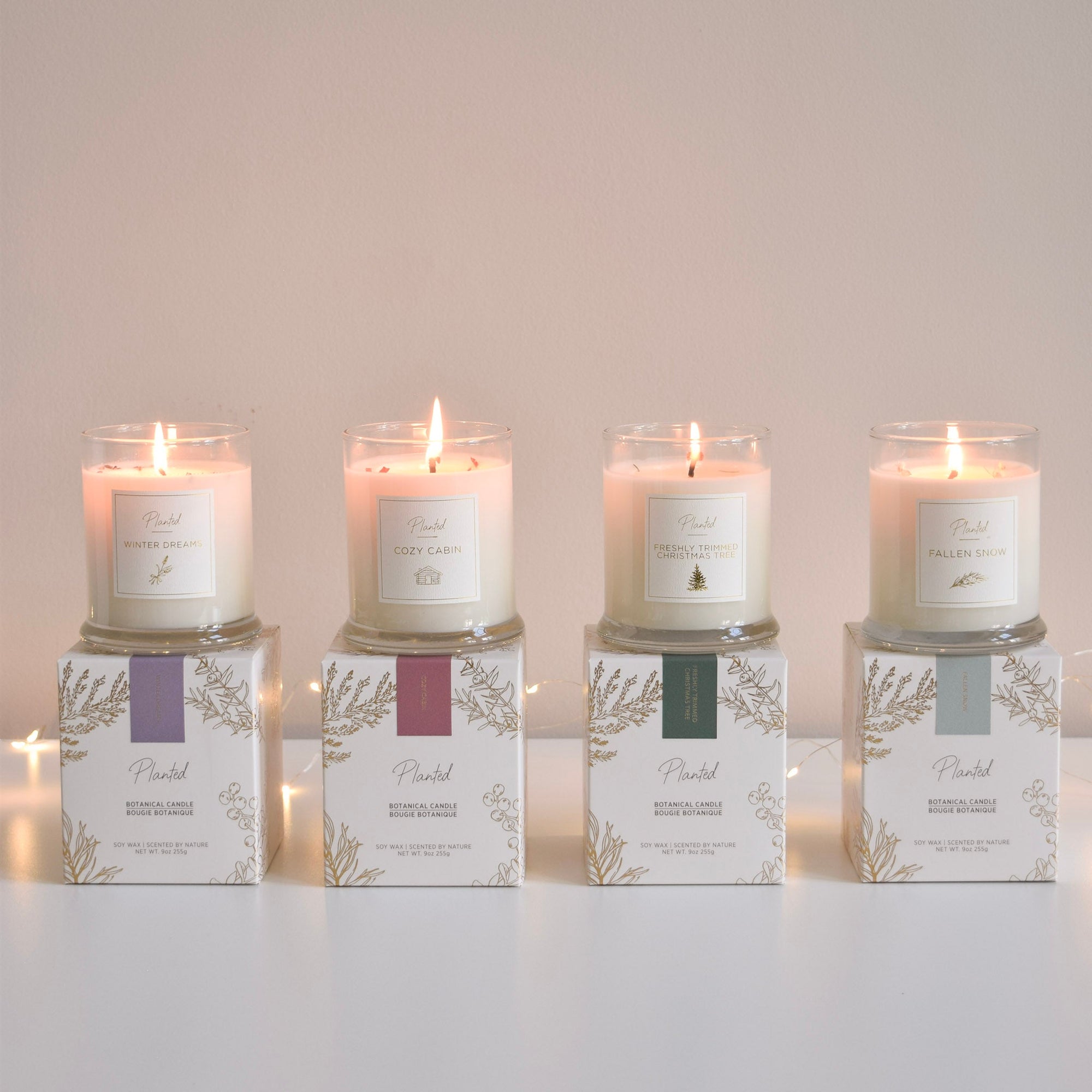 Candles - Holiday Collection