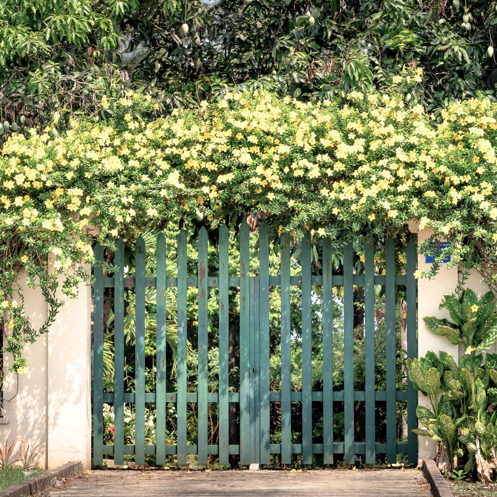 Candles - Garden Collection