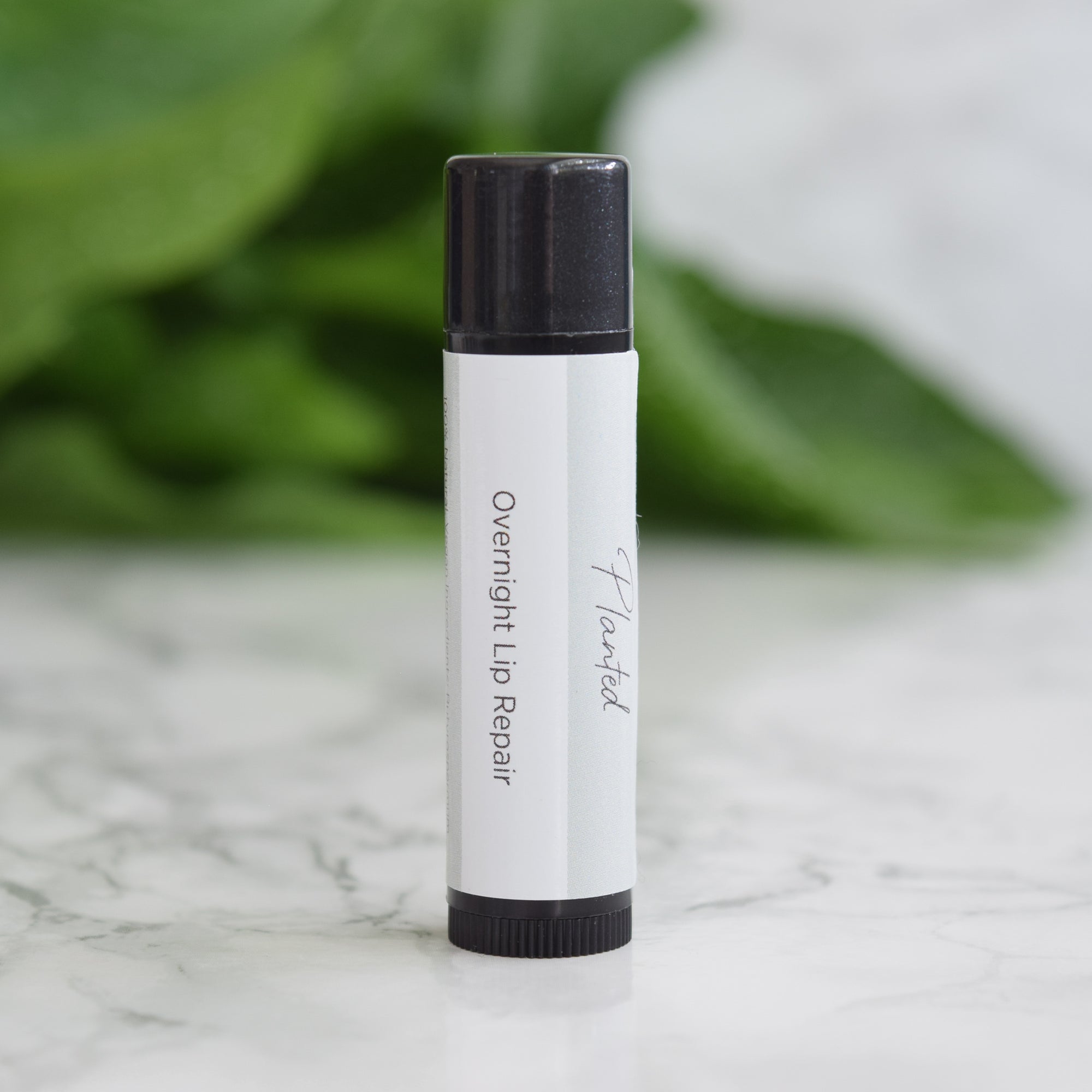 Natural Lip Balm standing up on a marble table with leaves in the background
