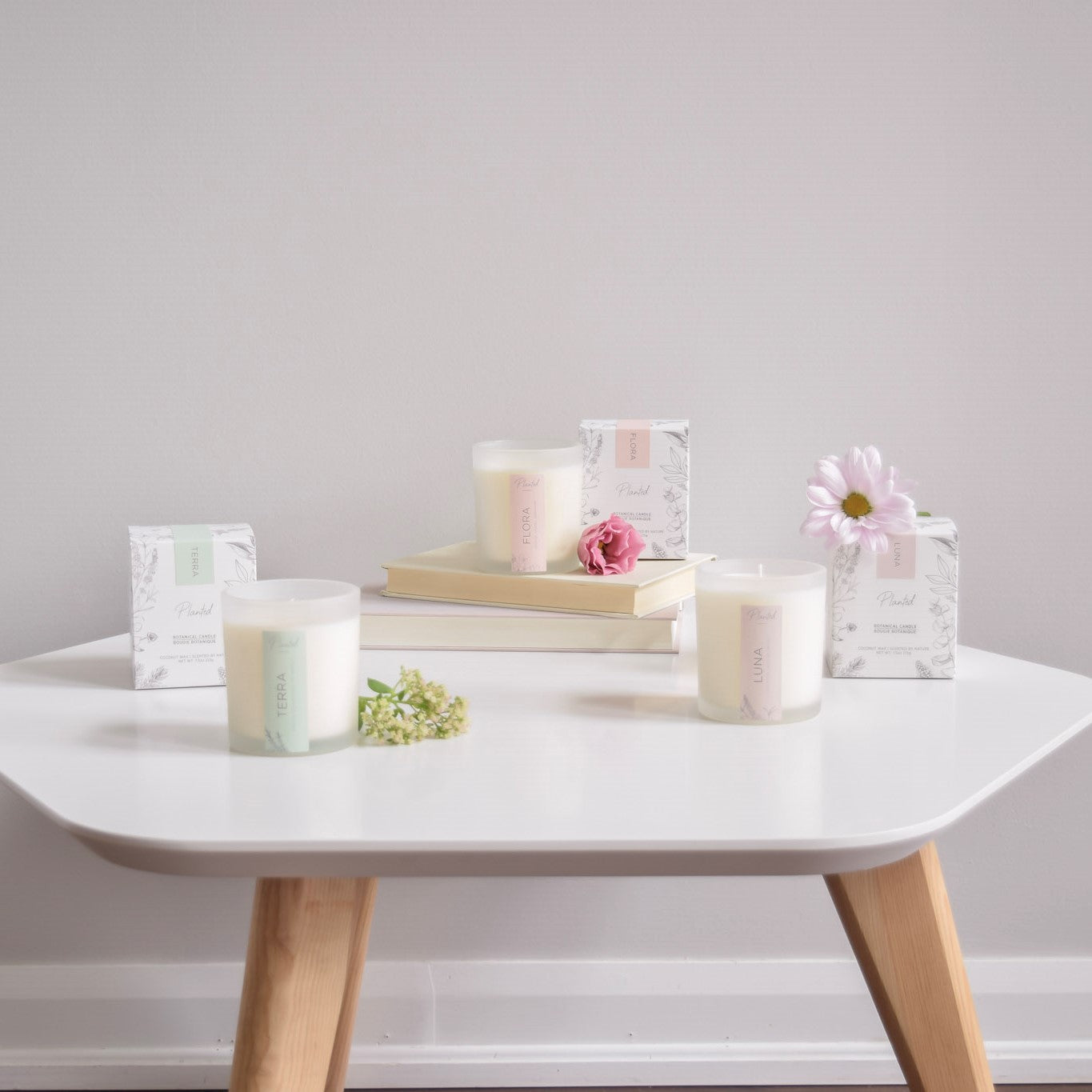 Coconut Wax Candles on a table