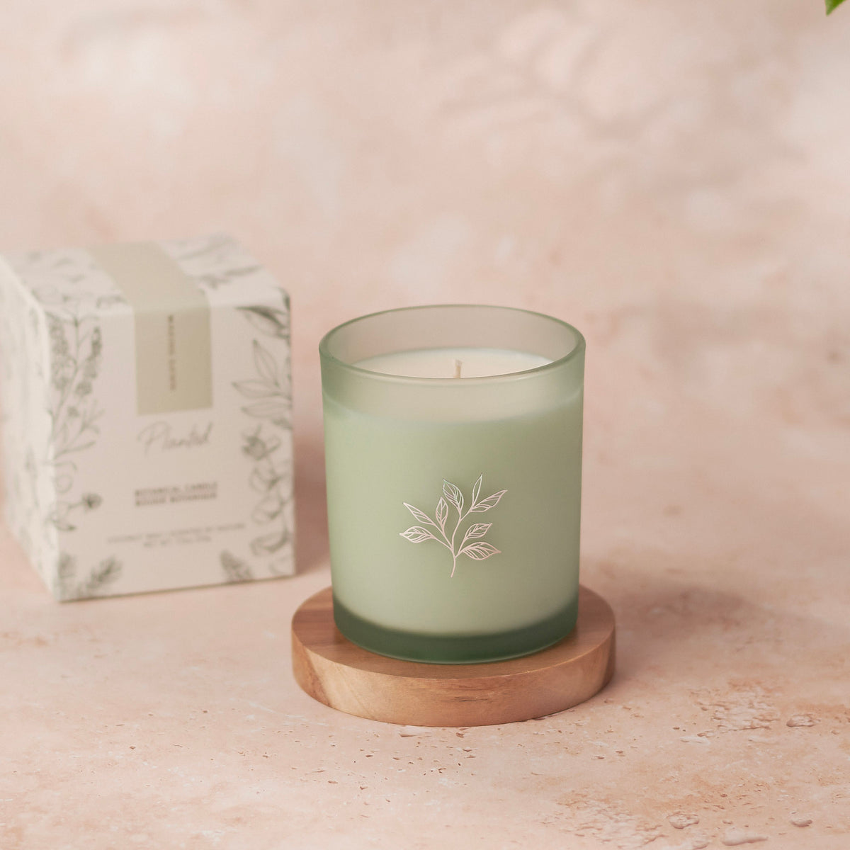 Waking Dawn Candle