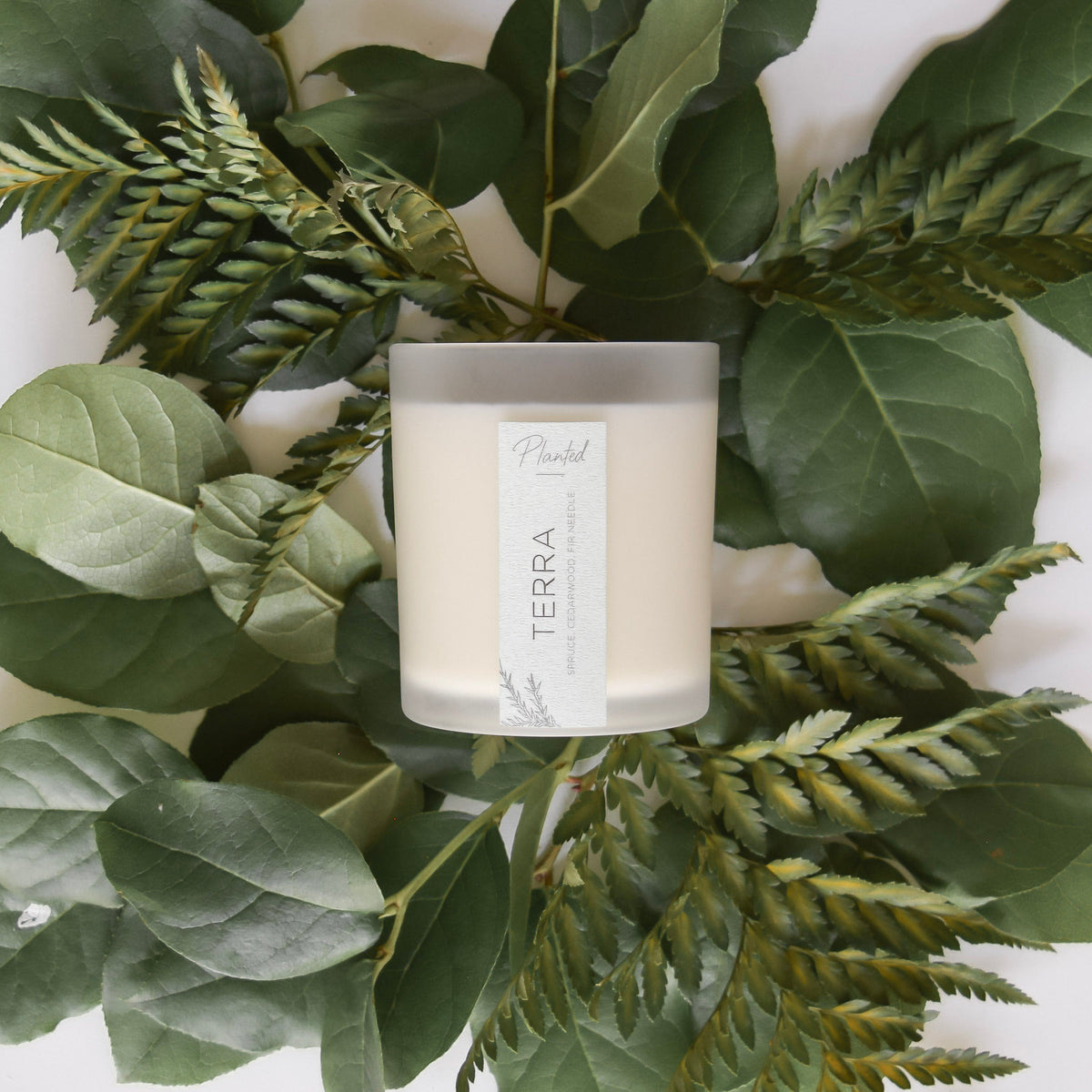 Full Coconut Wax Collection