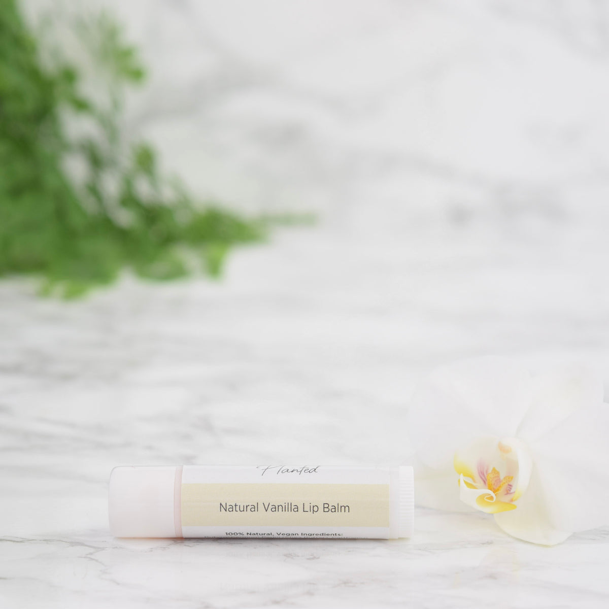 Vanilla Lip Balm