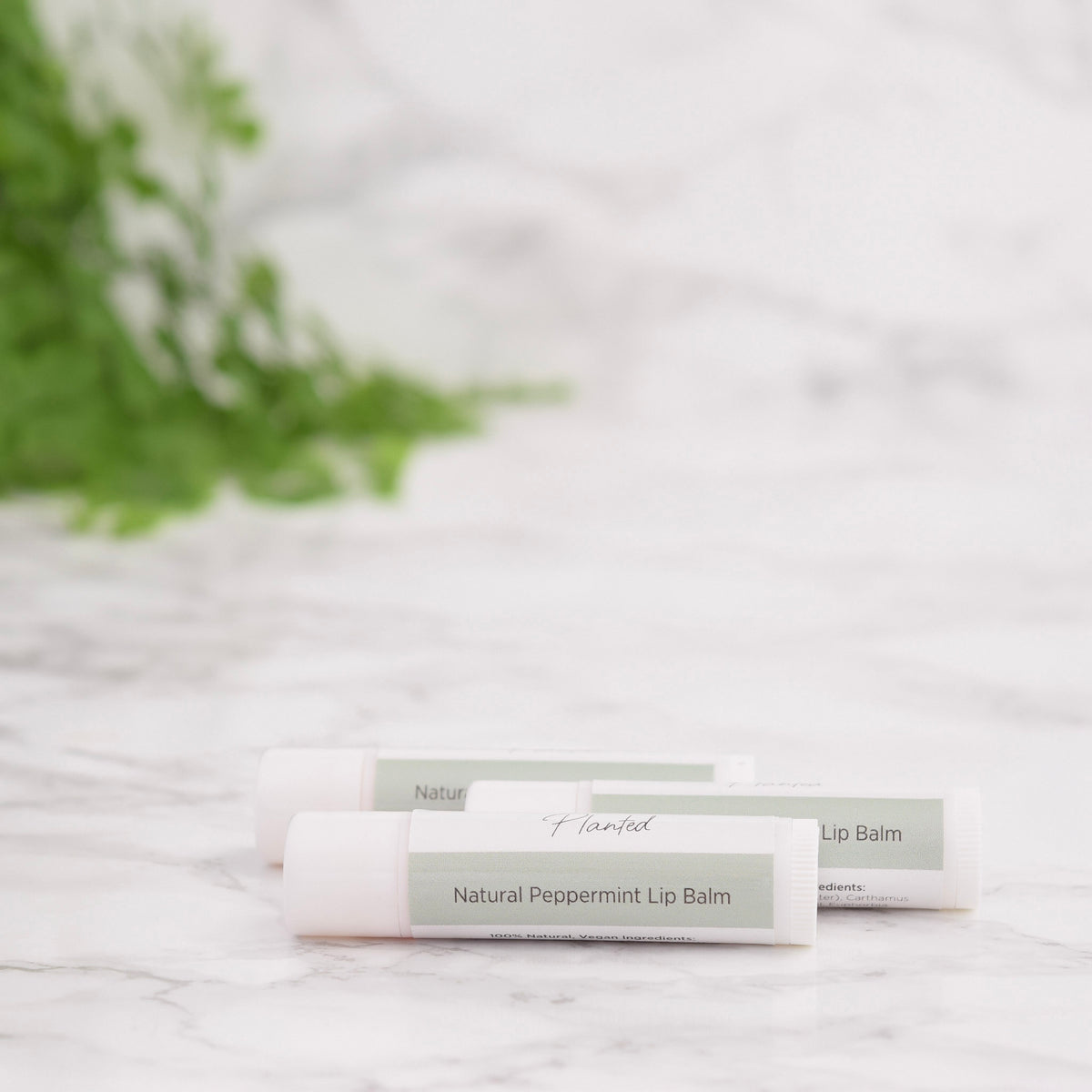 Peppermint Lip Balm