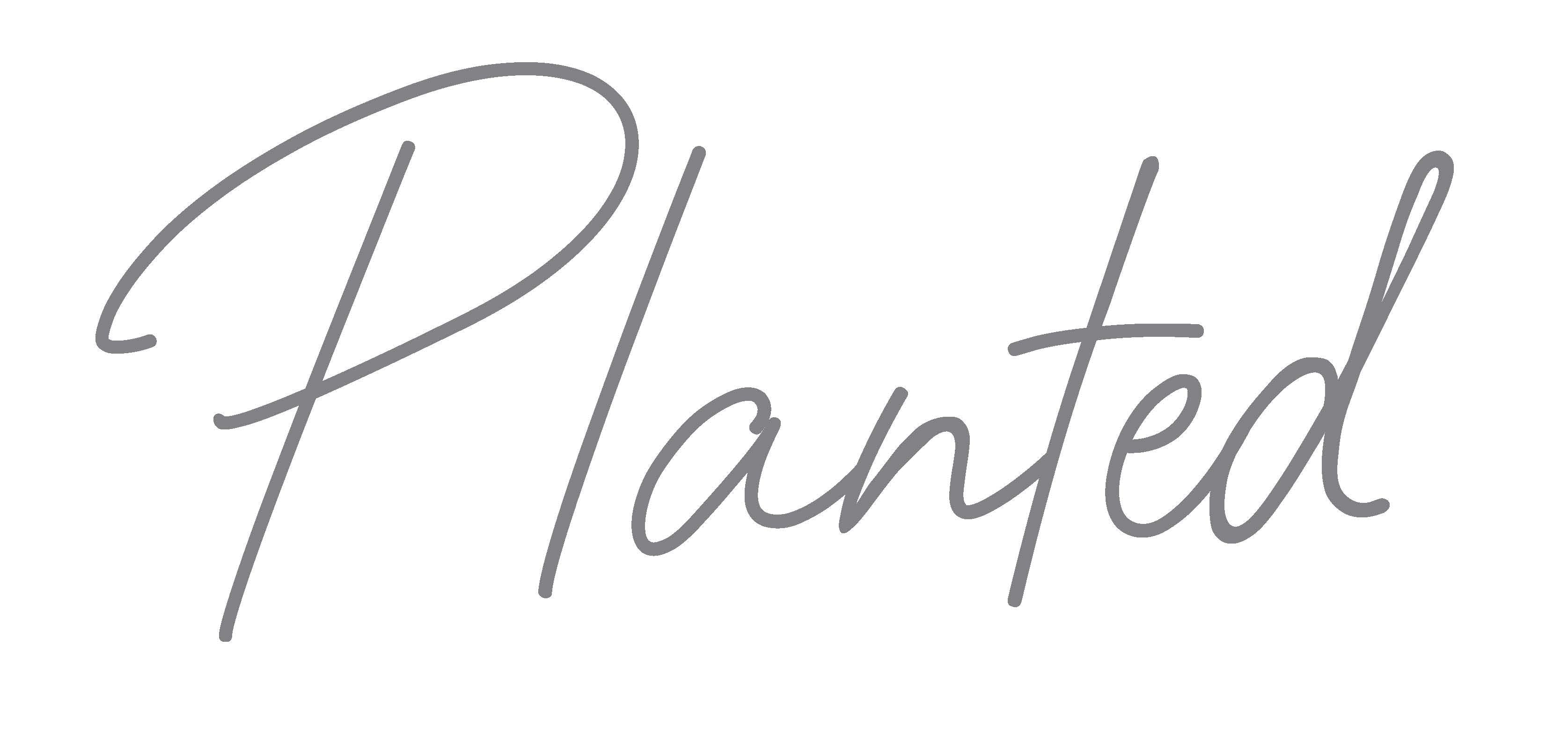 About Us - Planted