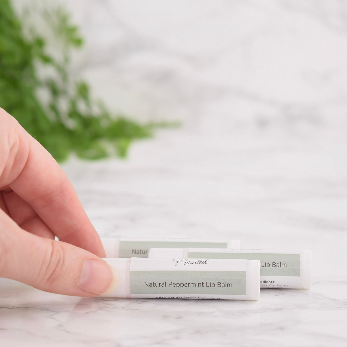 Peppermint Lip Balm