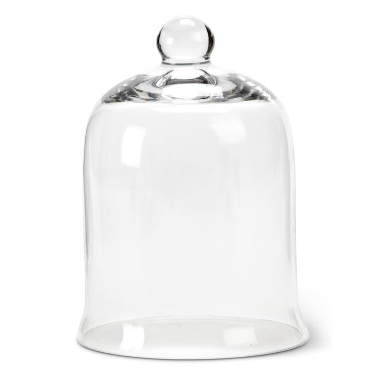 Glass Dome Cloche