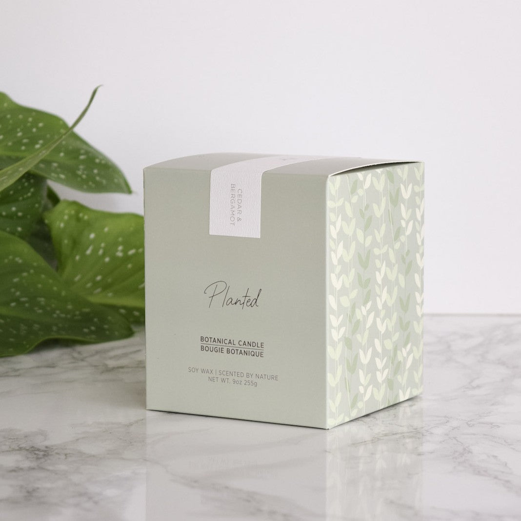 Cedar &amp; Bergamot Candle