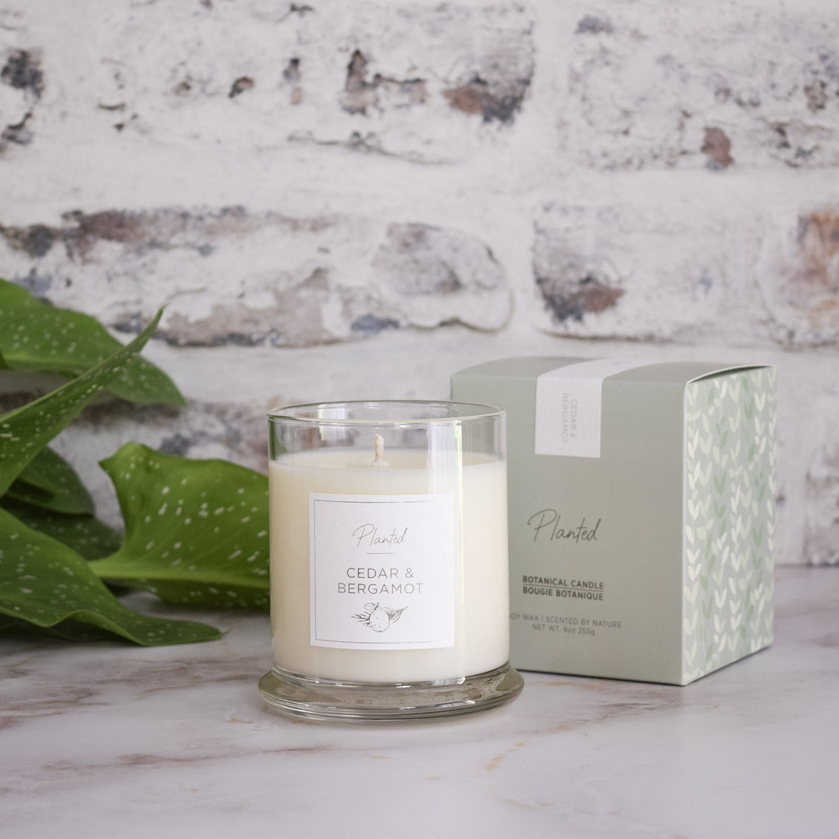 Cedar &amp; Bergamot Candle