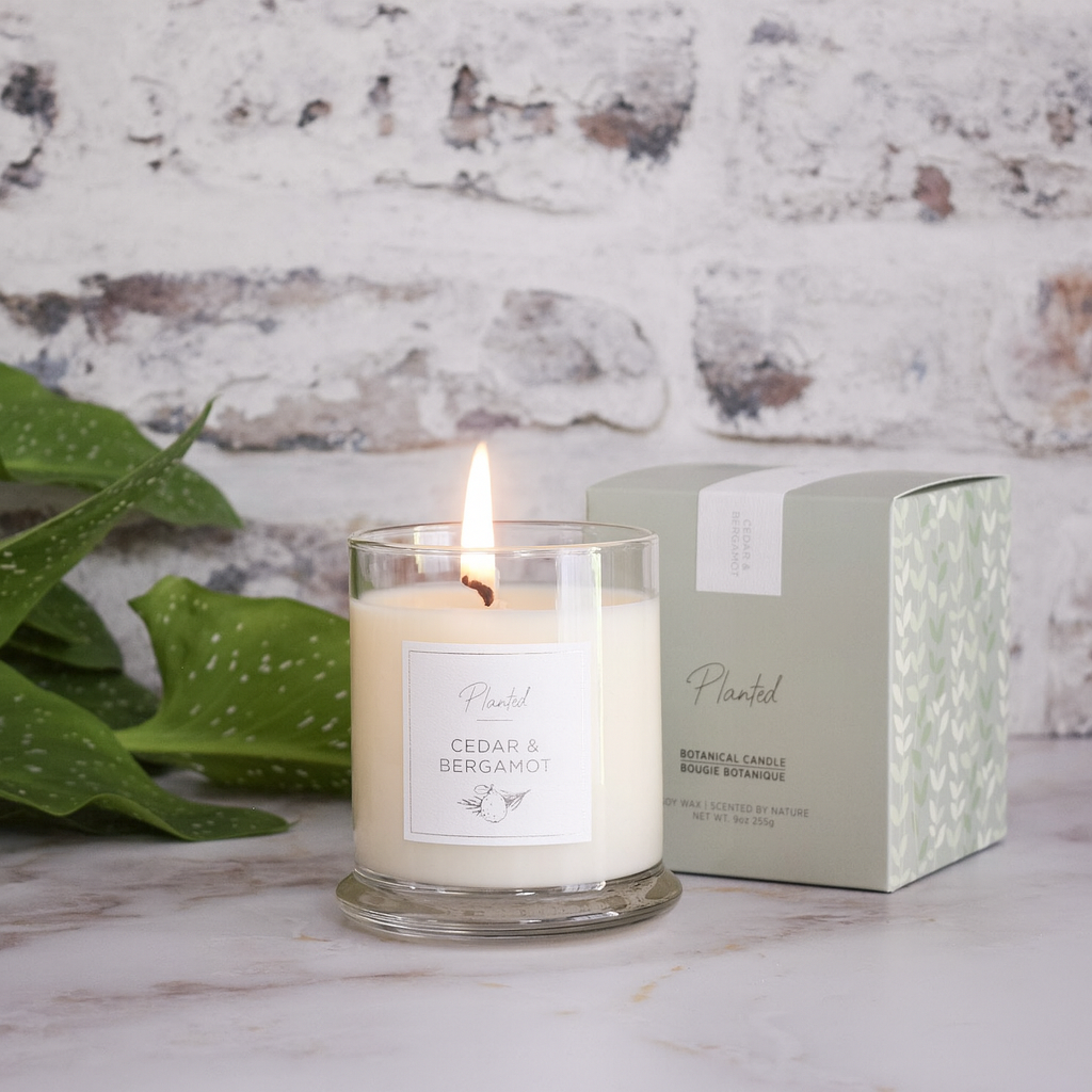 Cedar &amp; Bergamot Candle