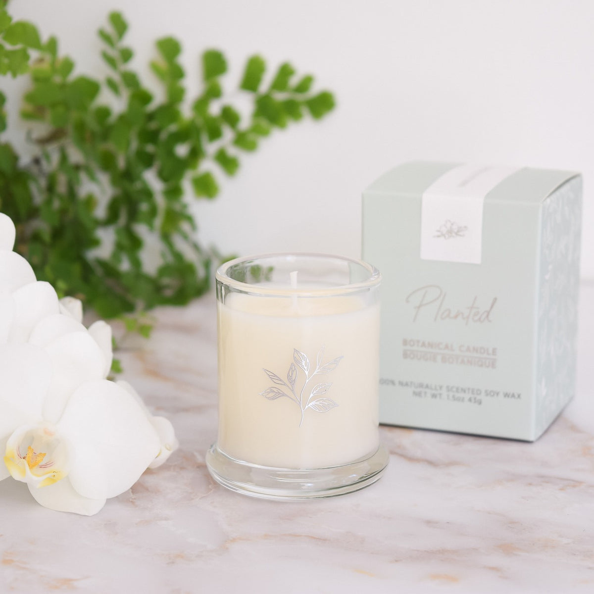 Petite Candle Trio