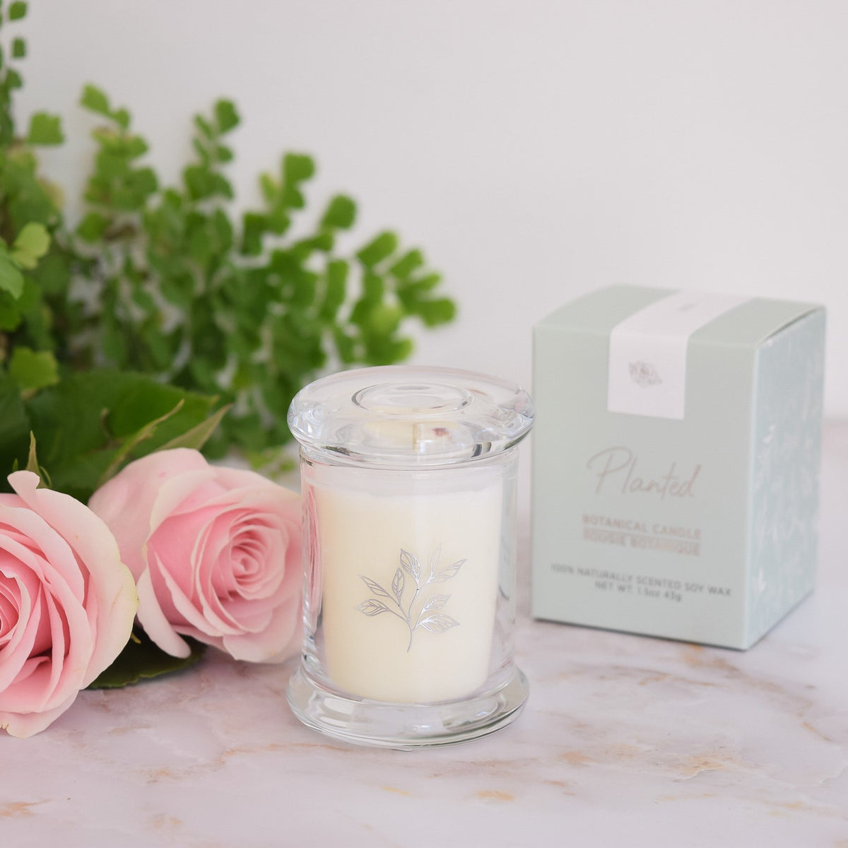 Petite Candle Trio