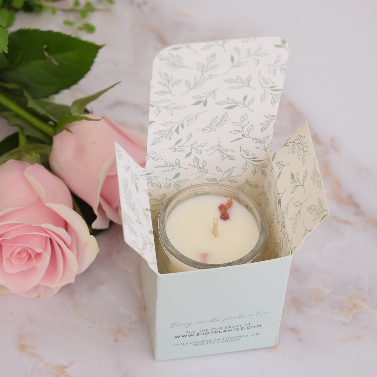 Petite Candle Trio