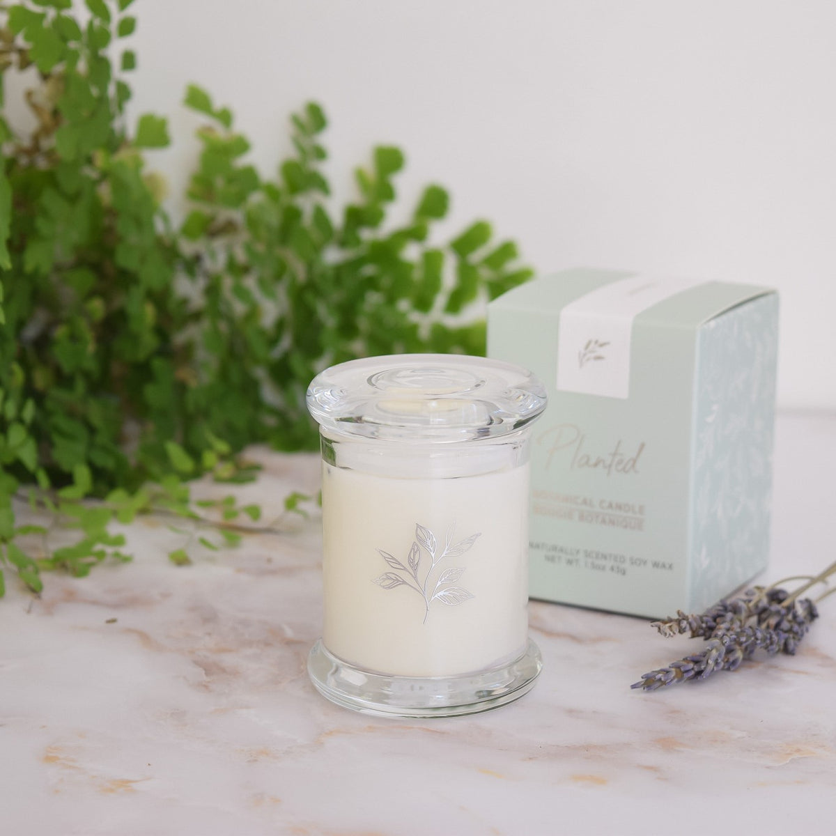 Petite Candle Trio