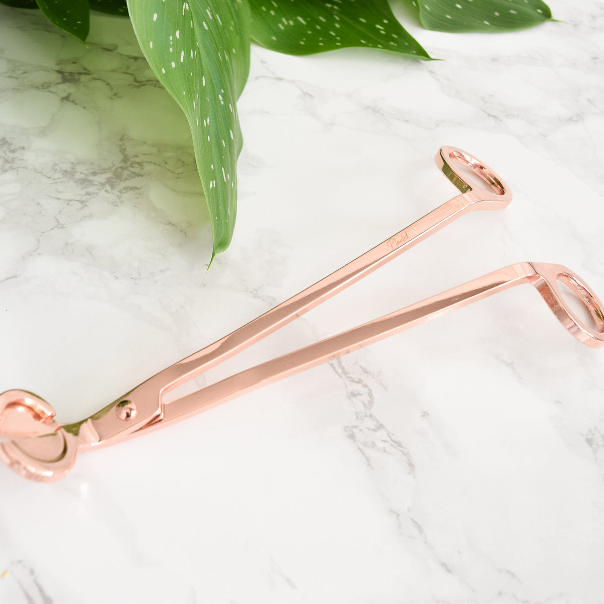 Free Rose-Gold Wick Trimmer