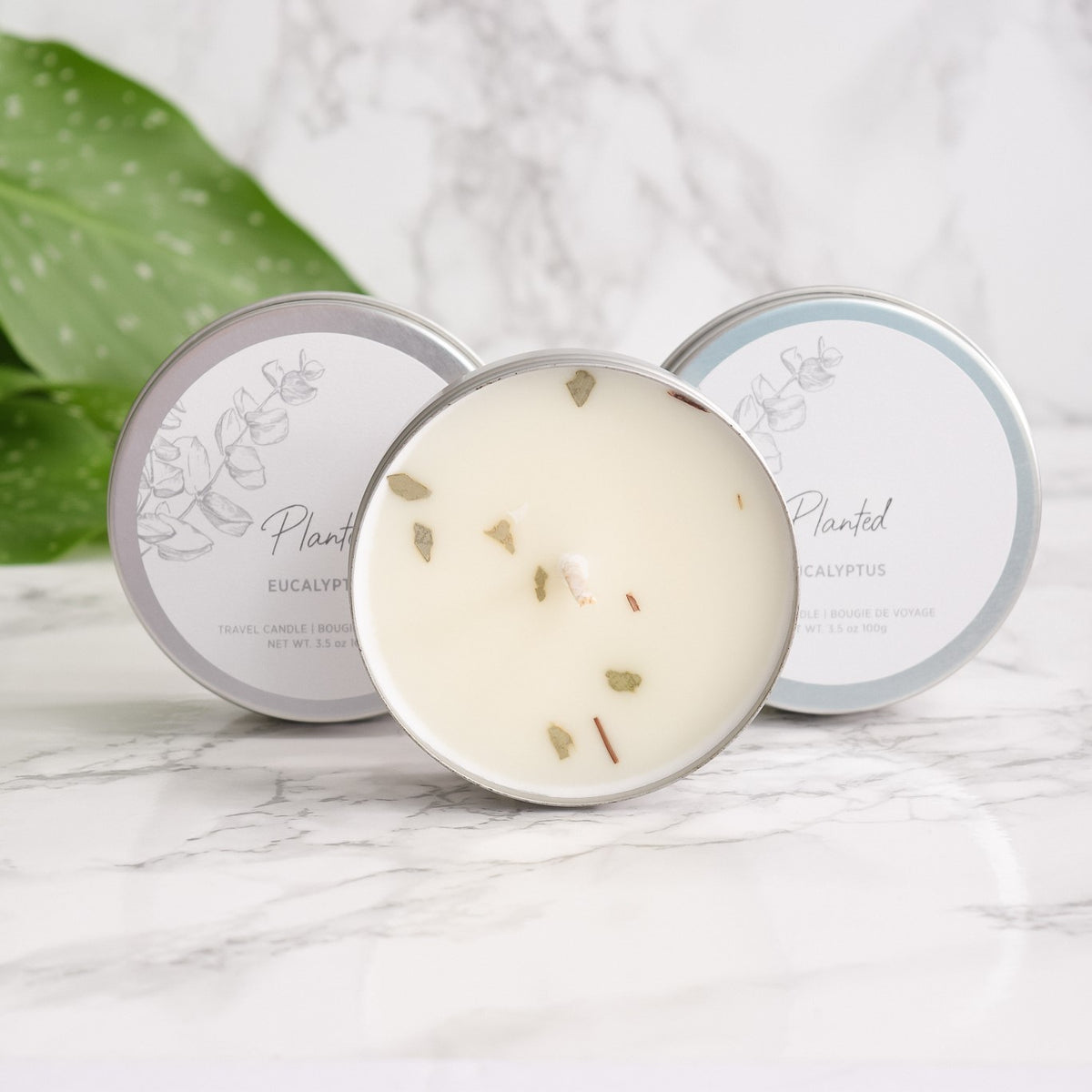 Travel Candles - Eucalyptus 3 Pack