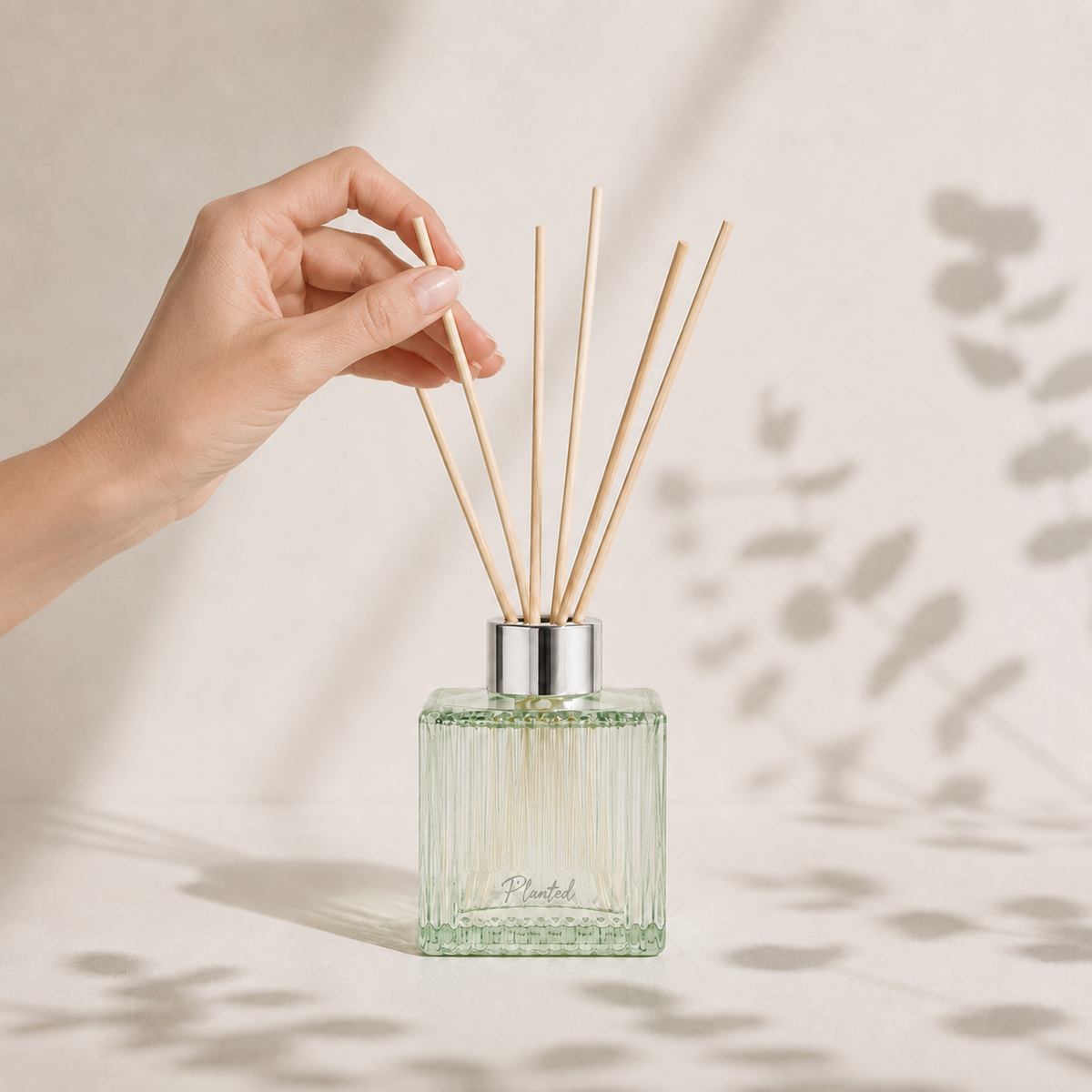 Eucalyptus Reed Diffuser