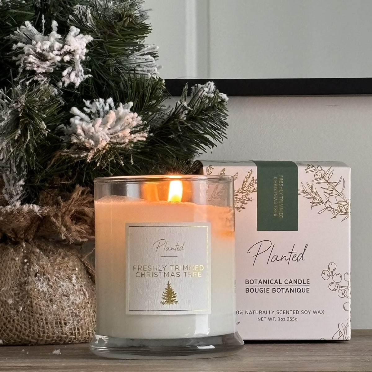 Freshly Trimmed Christmas Tree Candle