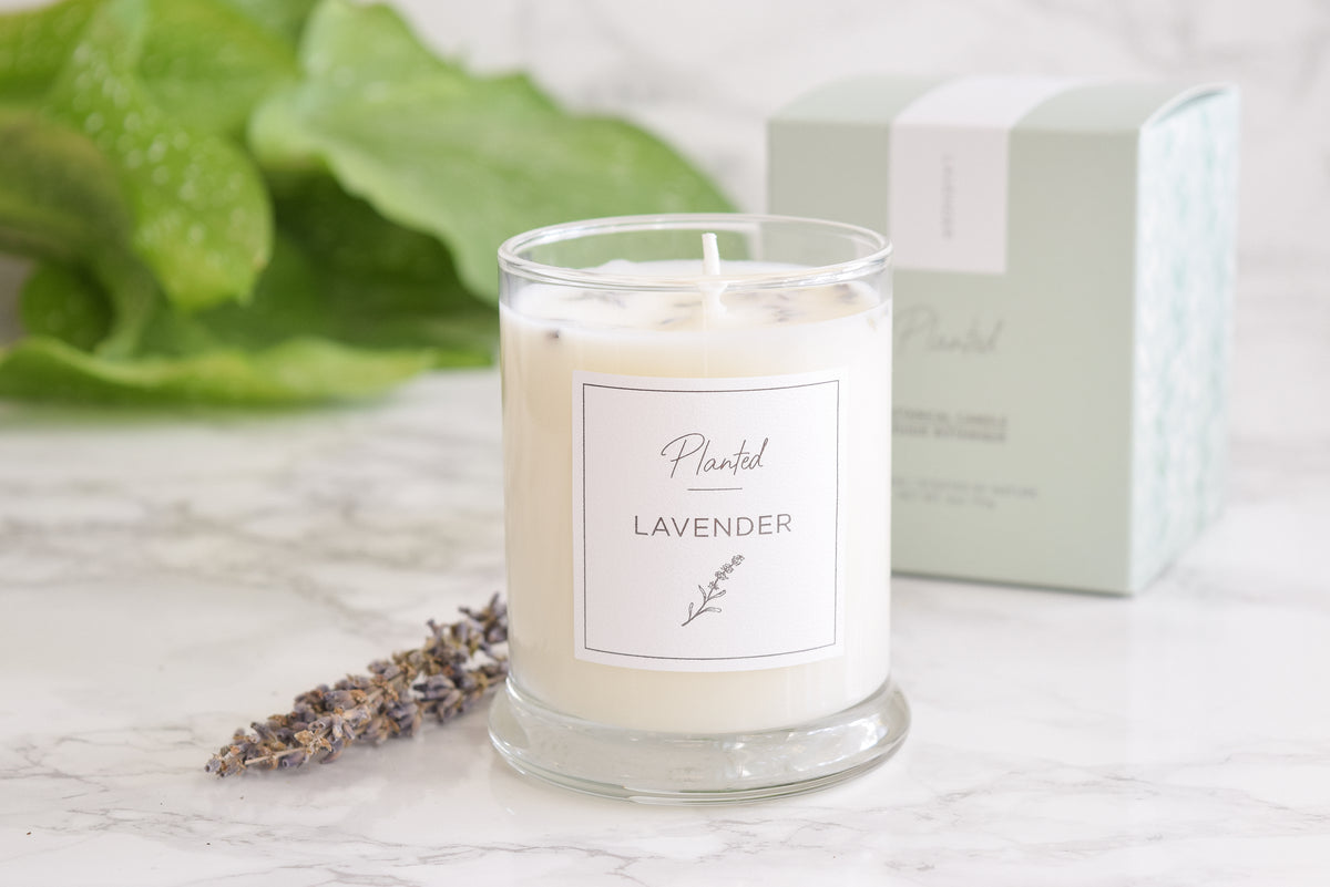 Calming Lavender Candle