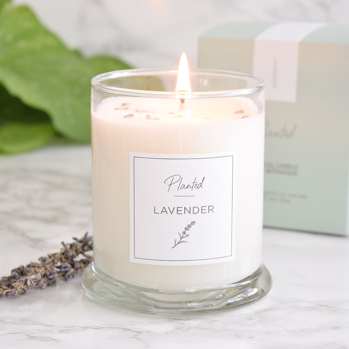 Calming Lavender Candle