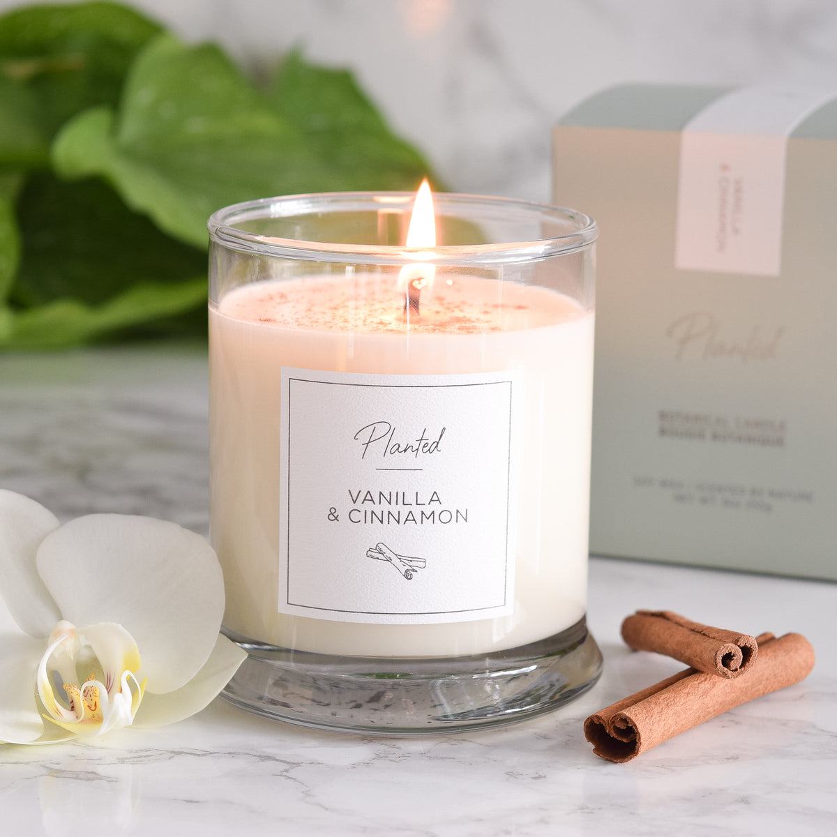 Vanilla &amp; Cinnamon Candle