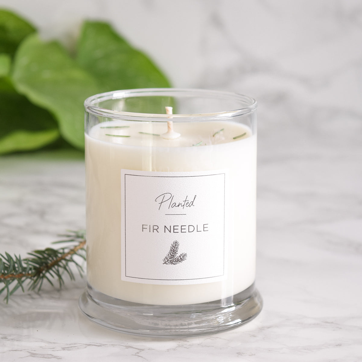 Freshly Trimmed Christmas Tree Candle