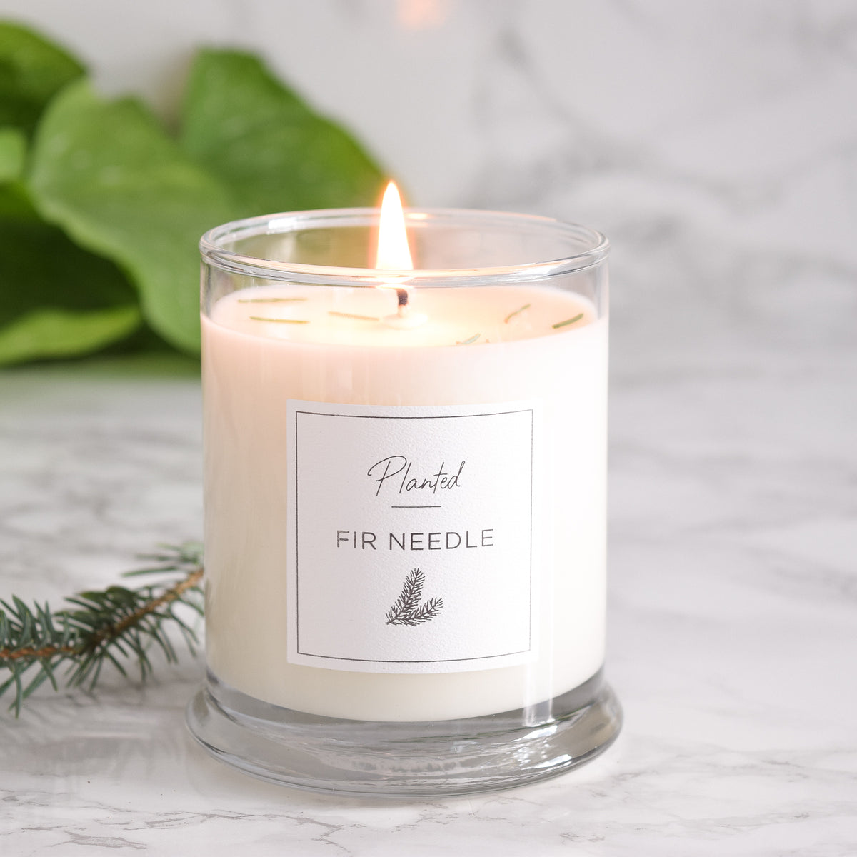 Freshly Trimmed Christmas Tree Candle