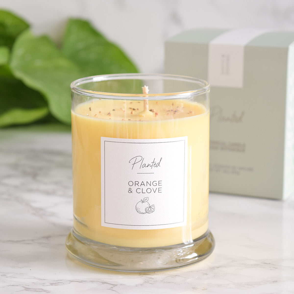 Orange &amp; Clove Candle